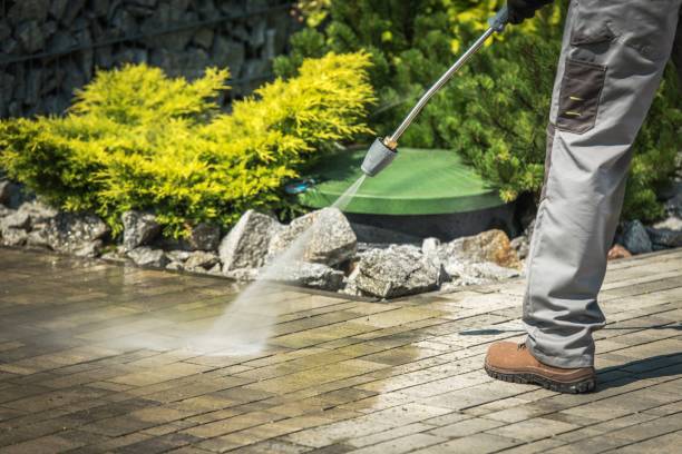 Best Boat and Dock Cleaning  in Pea Ridge, AR